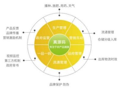 惠农网申斌谈农业电商发展 打好品牌管理“组合拳”是关键